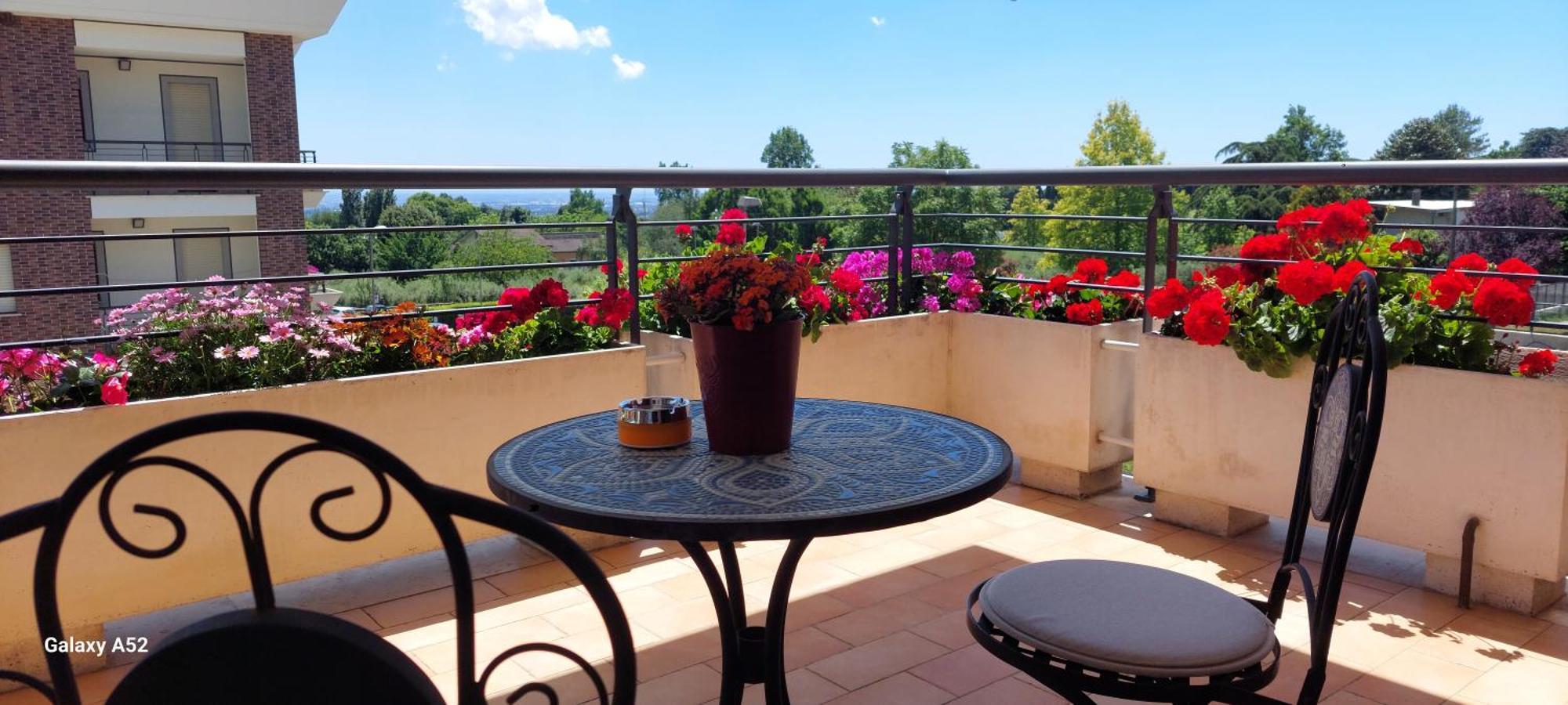 Relax & Business Luxury Apartment Velletri Εξωτερικό φωτογραφία
